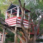 Tree House