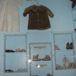 IMG 7195