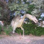 IMG 7258